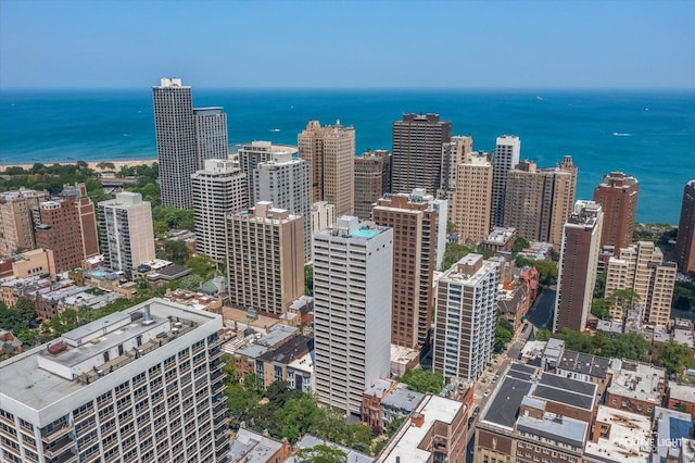 1410 N State Pkwy Unit 5B, Chicago, IL 60610 - bird's eye view of a large body of water