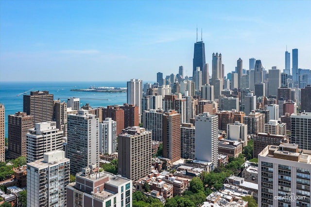 1410 N State Pkwy Unit 5B, Chicago, IL 60610 - skyline view with a large body of water