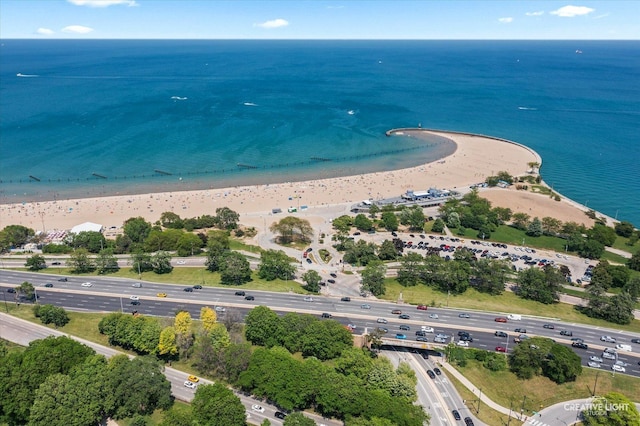 1410 N State Pkwy Unit 5B, Chicago, IL 60610 - drone / aerial view of a main thoroughfare and unending shoreline