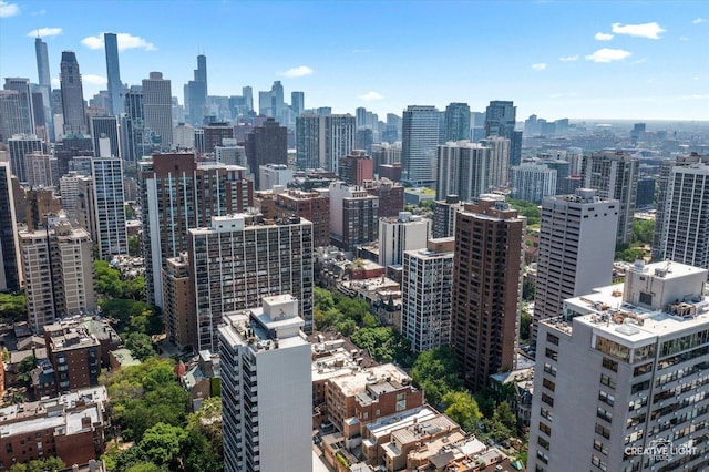 1410 N State Pkwy Unit 5B, Chicago, IL 60610 - view of city skyline