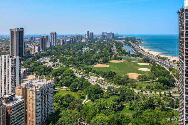 1410 N State Pkwy Unit 5B, Chicago, IL 60610 - view of urban area featuring a nearby body of water and a tree filled landscape
