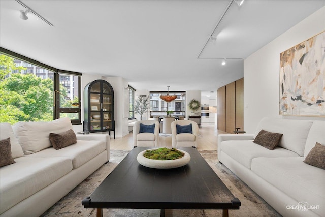 1410 N State Pkwy Unit 5B, Chicago, IL 60610 - living room with track lighting and light wood-style floors