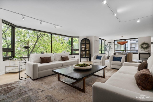 1410 N State Pkwy Unit 5B, Chicago, IL 60610 - living room featuring rail lighting and light wood-type flooring