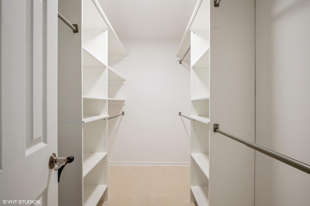90 E Franklin Pl Unit 106, Lake Forest, IL 60045 - spacious closet featuring carpet flooring