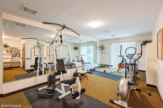90 E Franklin Pl Unit 106, Lake Forest, IL 60045 - workout area featuring carpet floors