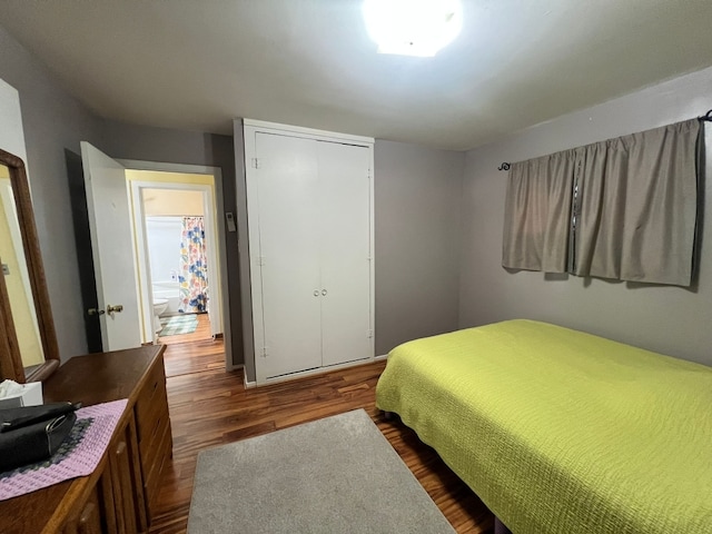 1313 Loral Ave, Joliet, IL 60435 - bedroom with dark wood-type flooring and a closet