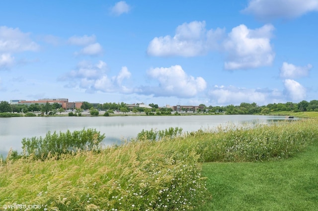 522 E Algonquin Rd Unit 309A, Schaumburg, IL 60173 - water view