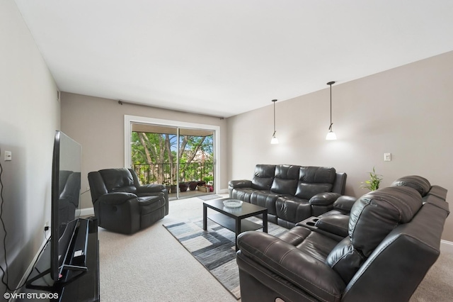 522 E Algonquin Rd Unit 309A, Schaumburg, IL 60173 - carpeted living room with baseboards