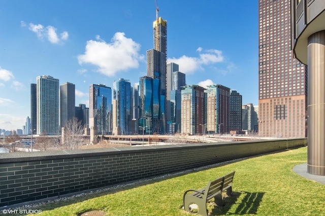 505 N Lake Shore Dr Unit 2110-11, Chicago, IL 60611 - skyline view