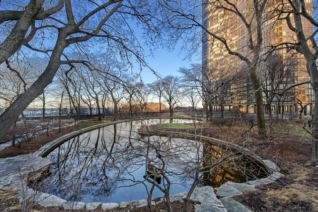 505 N Lake Shore Dr Unit 2110-11, Chicago, IL 60611 - view of community