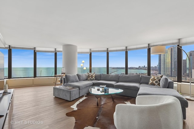 505 N Lake Shore Dr Unit 2110-11, Chicago, IL 60611 - living room with a water view, wood finished floors, and plenty of natural light
