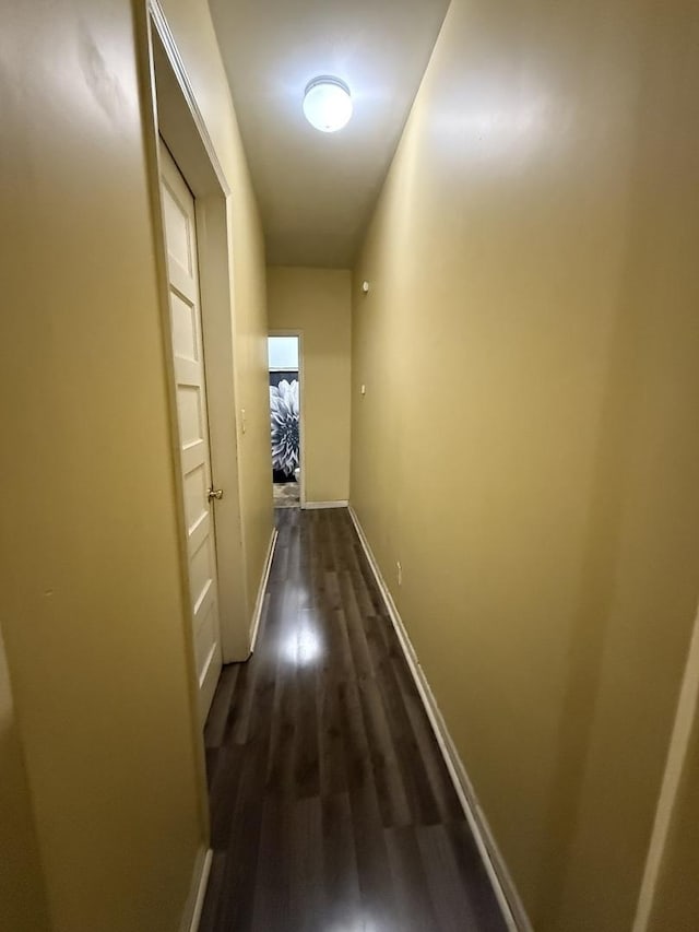 203 Union St, Joliet, IL 60433 - hall with dark wood finished floors and baseboards