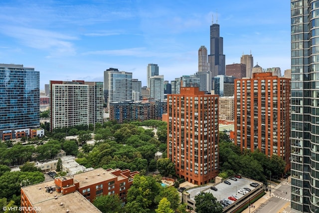 1101 S State St Unit 2202, Chicago, IL 60605 - skyline view