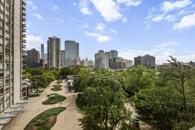 1360 N Sandburg Ter Unit 703C, Chicago, IL 60610 - view of city skyline