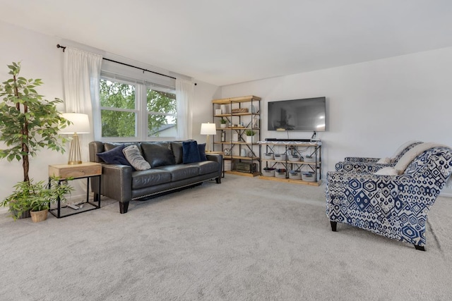 1669 W Bayside Ct, Hoffman Estates, IL 60192 - living area with carpet