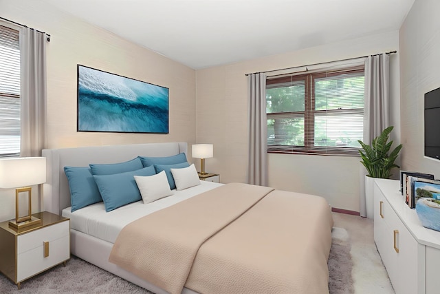 2114 Country Knoll Ln, Elgin, IL 60123 - bedroom featuring light carpet