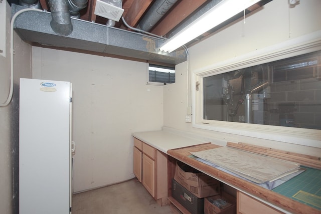 2114 Country Knoll Ln, Elgin, IL 60123 - finished basement featuring freestanding refrigerator