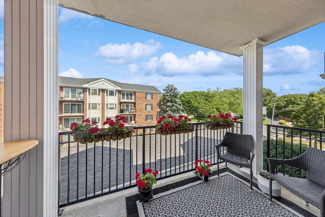 400 Mcdaniels Cir Unit 303, Clarendon Hills, IL 60514 - view of balcony