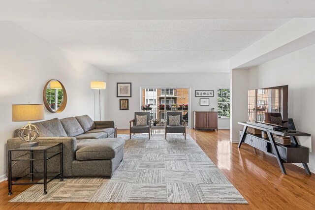 400 Mcdaniels Cir Unit 303, Clarendon Hills, IL 60514 - living room featuring plenty of natural light and wood finished floors