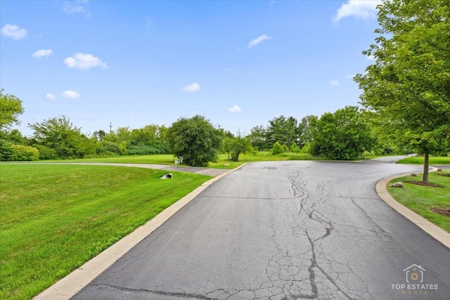 6873 Ellis Ave, Long Grove, IL 60047 - photo 17
