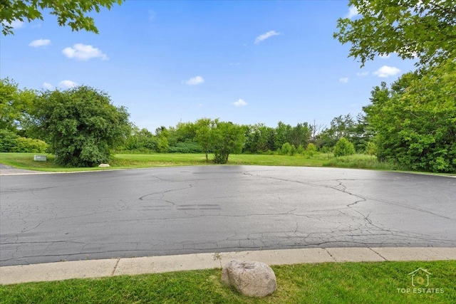 6873 Ellis Ave, Long Grove, IL 60047 - photo 18