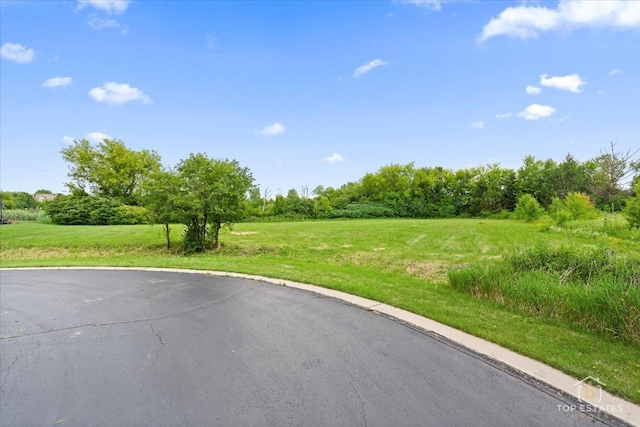 6873 Ellis Ave, Long Grove, IL 60047 - photo 20