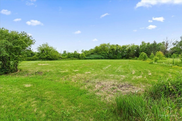 6873 Ellis Ave, Long Grove, IL 60047 - photo 21