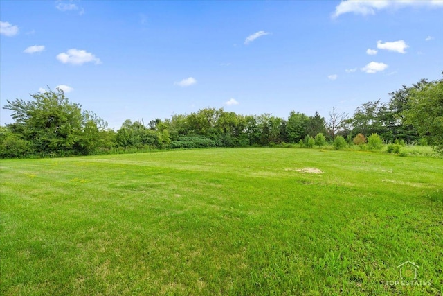 6873 Ellis Ave, Long Grove, IL 60047 - photo 22