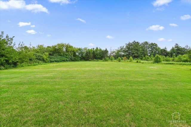 6873 Ellis Ave, Long Grove, IL 60047 - photo 23