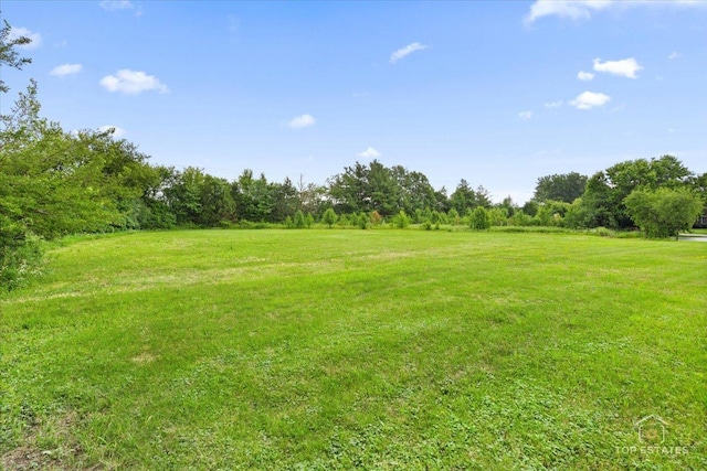 6873 Ellis Ave, Long Grove, IL 60047 - photo 24