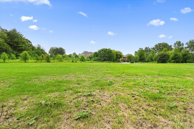 6873 Ellis Ave, Long Grove, IL 60047 - photo 25