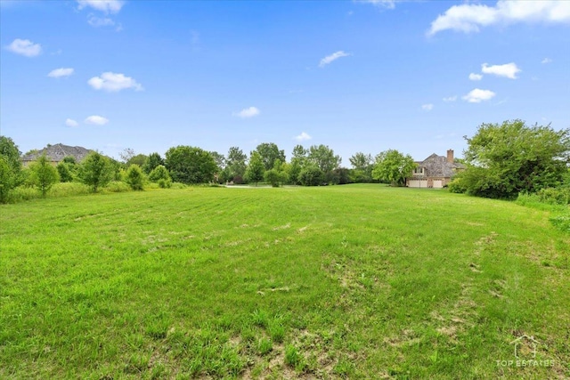 6873 Ellis Ave, Long Grove, IL 60047 - photo 26