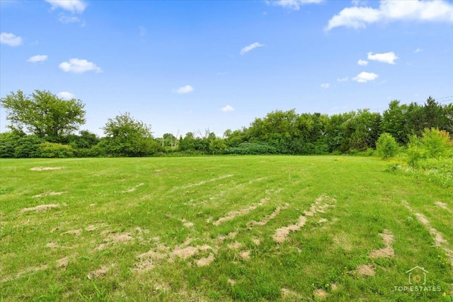 6873 Ellis Ave, Long Grove, IL 60047 - photo 28