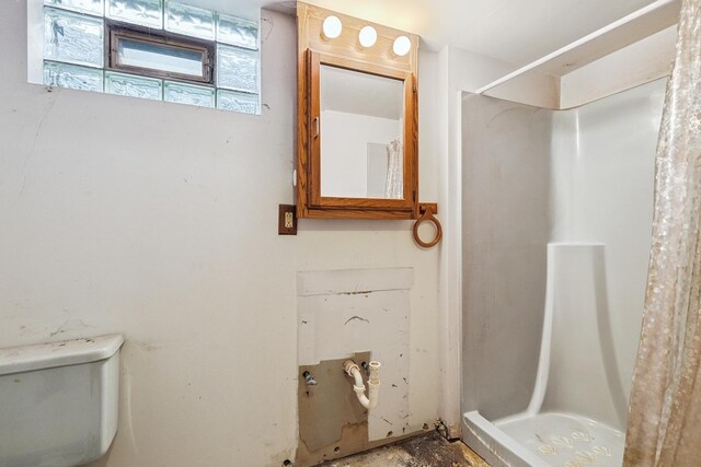 17257 W Rich Ct, Elwood, IL 60421 - bathroom with toilet and a shower stall
