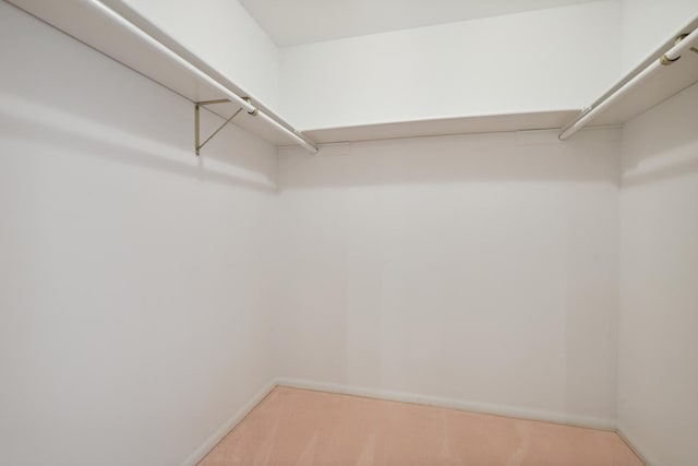 712 Ridge Rd, Lemont, IL 60439 - walk in closet featuring carpet floors