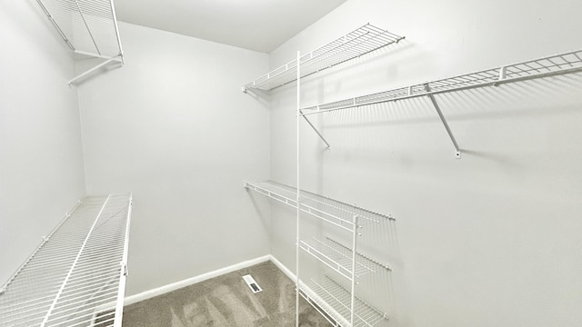 2931 Sunset Ave, Flossmoor, IL 60422 - spacious closet with carpet flooring