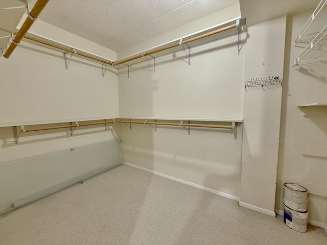555 Graceland Ave Unit 505, Des Plaines, IL 60016 - view of walk in closet