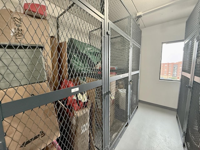 555 Graceland Ave Unit 505, Des Plaines, IL 60016 - view of storage