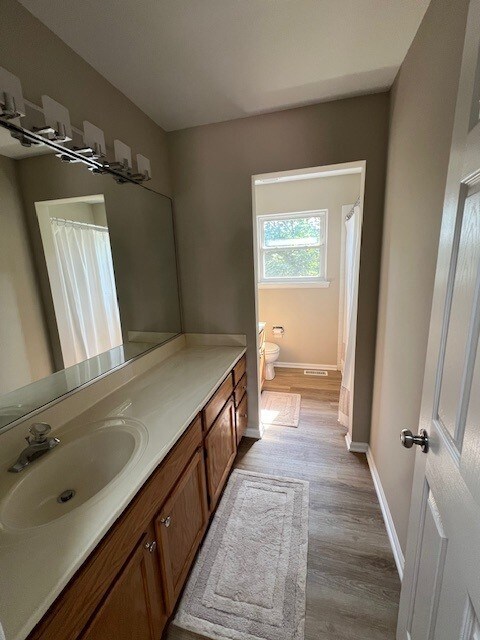 1312 Strawbridge Ct, Naperville, IL 60565 - full bath with vanity, wood finished floors, and a shower with shower curtain