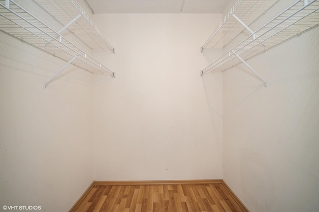 2020 St Johns Ave Unit 309, Highland Park, IL 60035 - walk in closet with light wood-style flooring