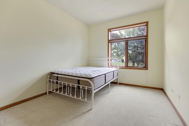 18423 Pine Lake Dr Unit 2, Tinley Park, IL 60477 - photo 17