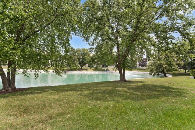 18423 Pine Lake Dr Unit 2, Tinley Park, IL 60477 - photo 21