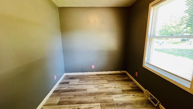 113 E Seminole St, Dwight, IL 60420 - empty room with healthy amount of natural light, wood finished floors, and a textured ceiling