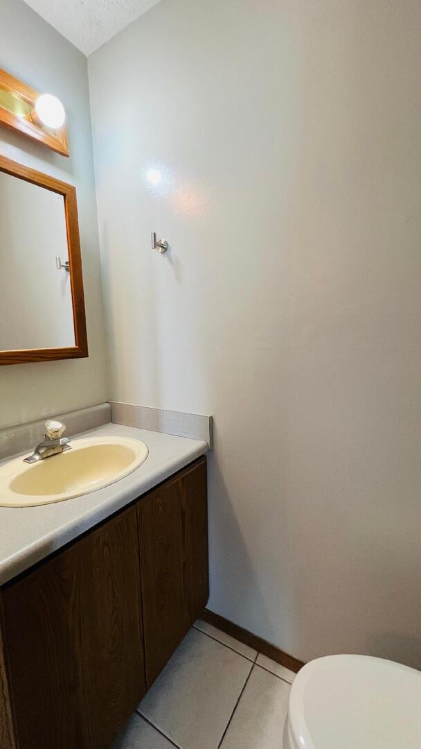 113 E Seminole St, Dwight, IL 60420 - half bath with vanity and tile patterned flooring