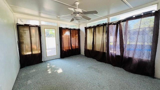 113 E Seminole St, Dwight, IL 60420 - unfurnished sunroom featuring plenty of natural light