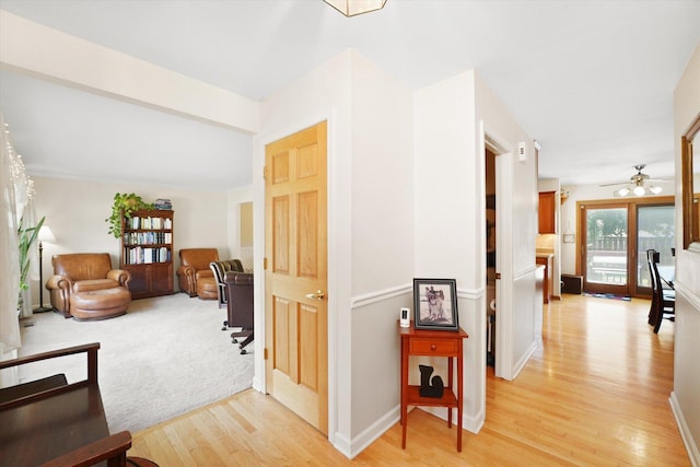 428 Linsey Ave, Schaumburg, IL 60194 - hall with light wood-style flooring and baseboards