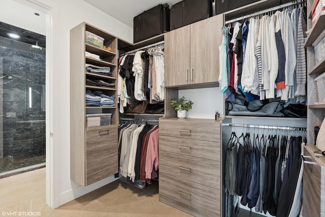 900 W Washington Blvd Unit 404, Chicago, IL 60607 - spacious closet featuring light colored carpet