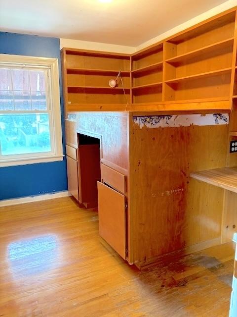 9205 S Utica Ave, Evergreen Park, IL 60805 - walk in closet featuring light wood-style flooring