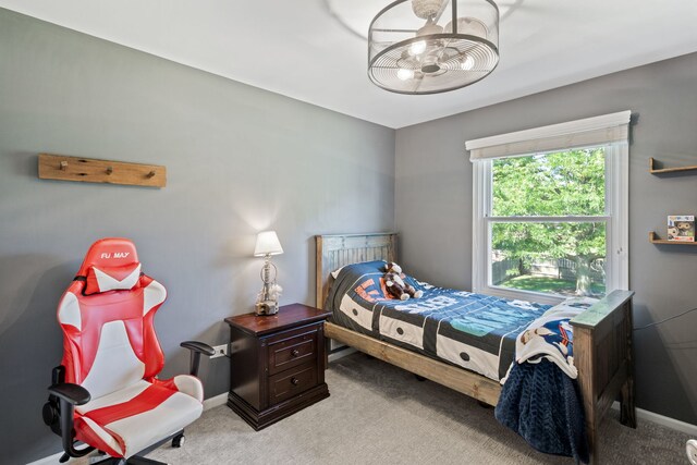 5028 Switch Grass Ln, Naperville, IL 60564 - photo 20