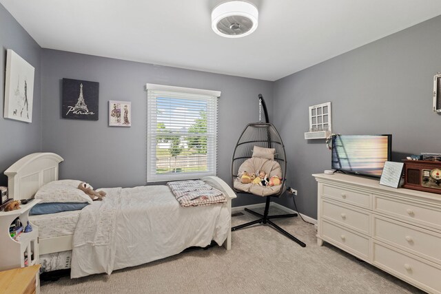 5028 Switch Grass Ln, Naperville, IL 60564 - photo 21
